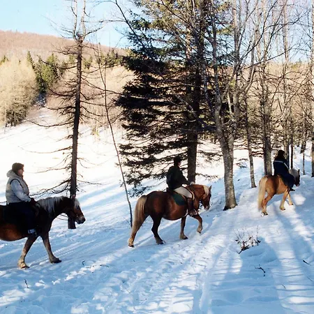 Del Cimone Alojamento de Turismo Rural *