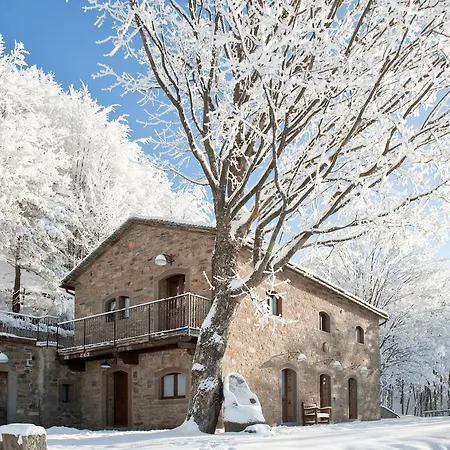 Del Cimone * Fanano