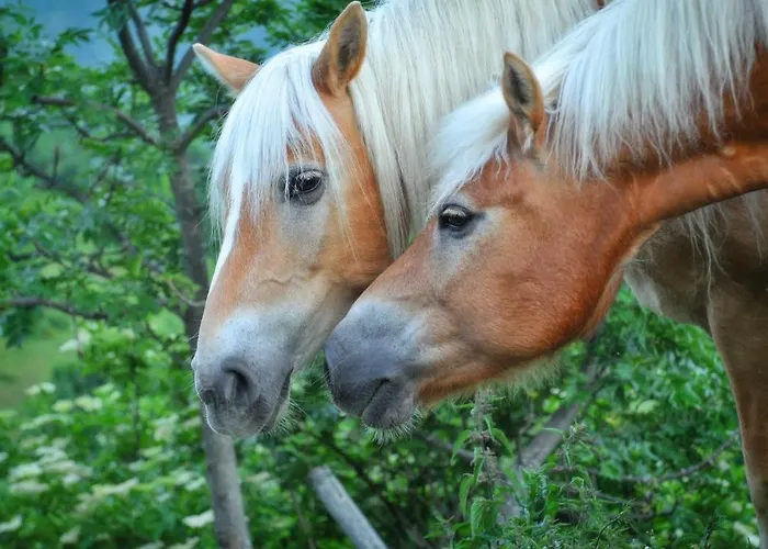 Alojamento de Turismo Rural Del Cimone *