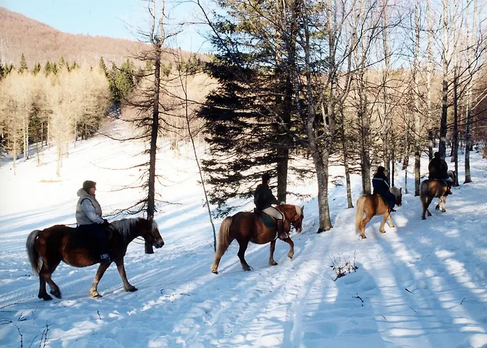 Del Cimone 农家乐 *