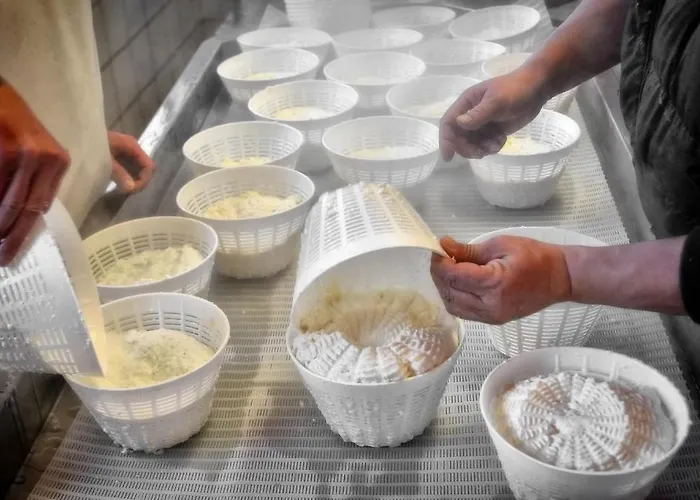 Del Cimone 农家乐 法纳诺