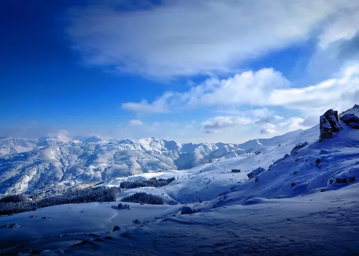 Del Cimone 农家乐 *